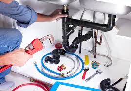 Best Garbage Disposal Repair and Installation  in Sandoval, IL